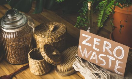 Achieving a Zero-Waste Lifestyle: Steps for Everyday Life